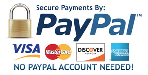 Paypal Secure Payment Service